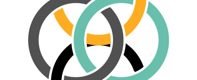 NAIPI logo - rings only