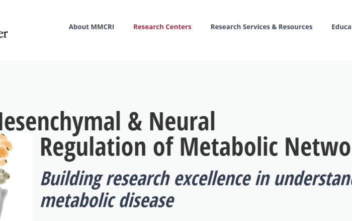 Mesenchymal and Neural Regulation of Metabolic Networks