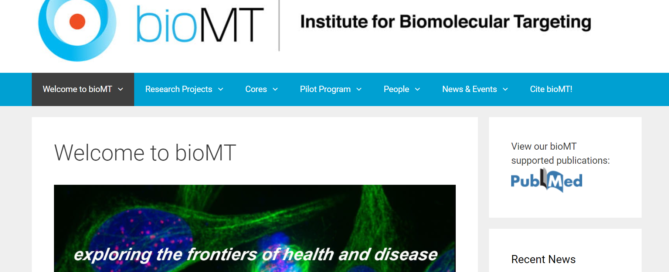 iTarget: Institute for Biomolecular Targeting