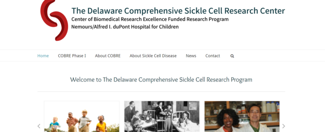 The Delaware Comprehensive Sickle Cell Research Center