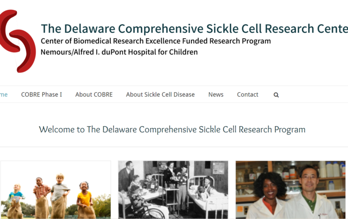 The Delaware Comprehensive Sickle Cell Research Center
