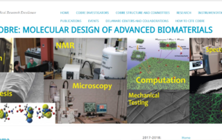Molecular Design of Advanced Biomaterials