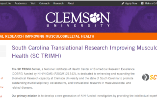 SC COBRE for Translational Research Improving Musculoskeletal Health