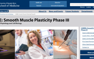 Smooth Muscle Plasticity