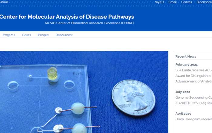 Molecular Analysis of Disease Pathways