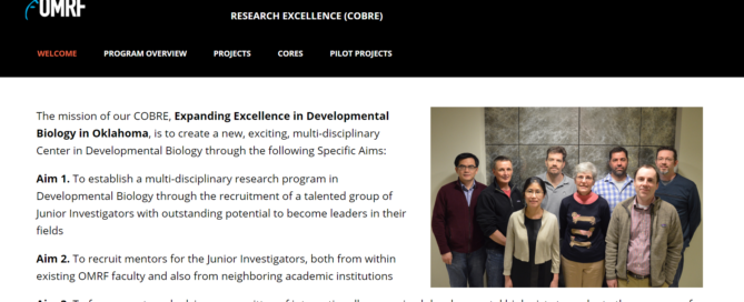 Expanding Excellence in Developmental Biology in Oklahoma