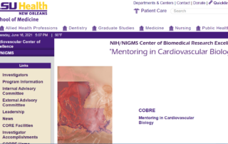 Mentoring in Cardiovascular Biology