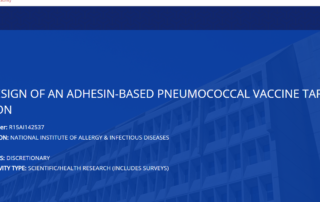 Rational design of an adhesin-based pneumococcal vaccine targeting colonization