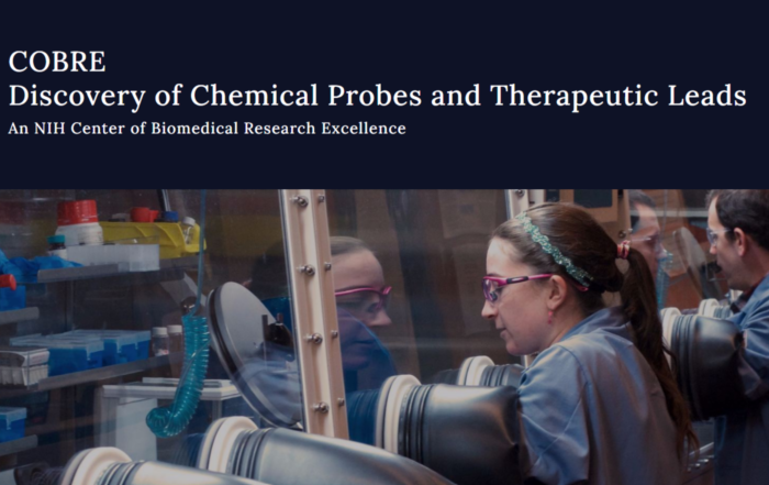 Discovery of Chemical Probes and Therapeutic Leads