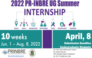 Call for Summer Internship - PR
