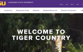 LSU Jobs