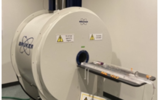 Bruker PharmaScan small animal MRI system