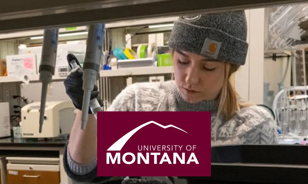 University of Montana position available